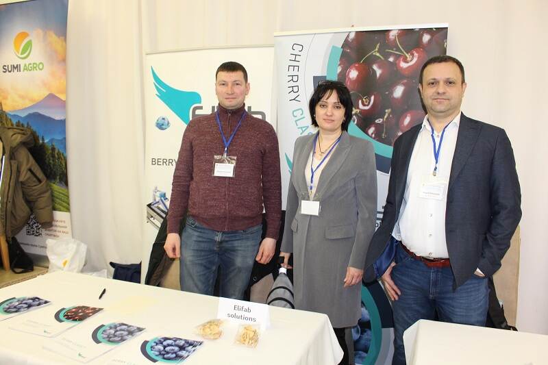 Berry Conference, Ukraine.