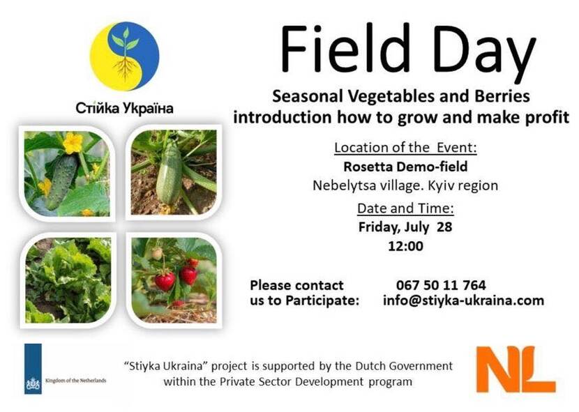 Stiyka Ukraina Field Day 28.07