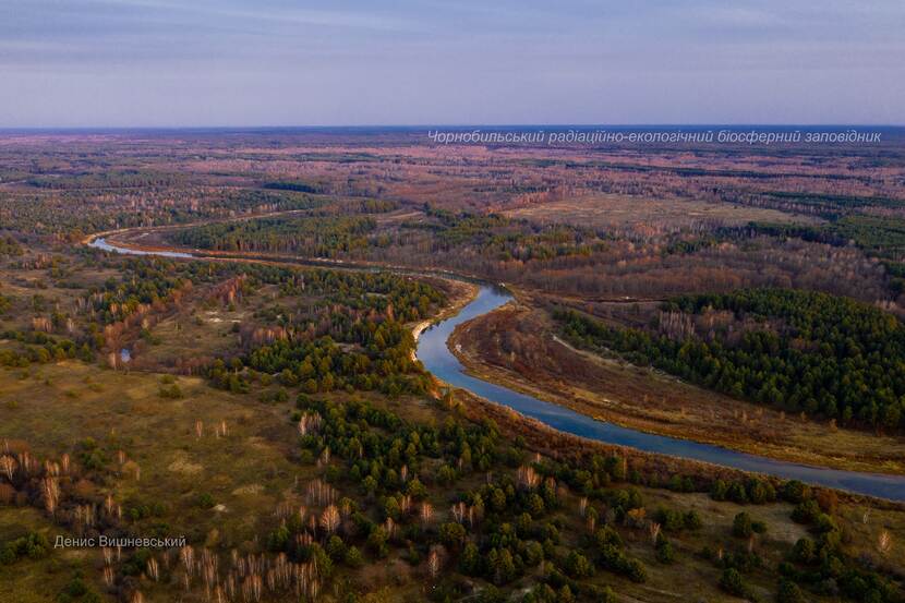 Chornobyl natural reserve