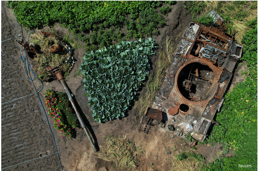 Vegetable garden with leftovers of the tank