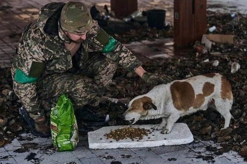 Helping animals at the frontline