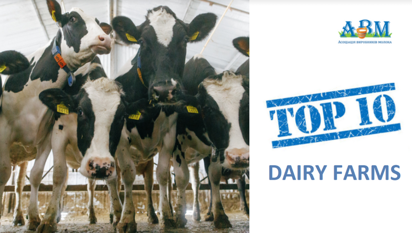 TOP 10 Dairy Farms in Ukraine