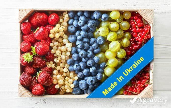 Berries made in UA