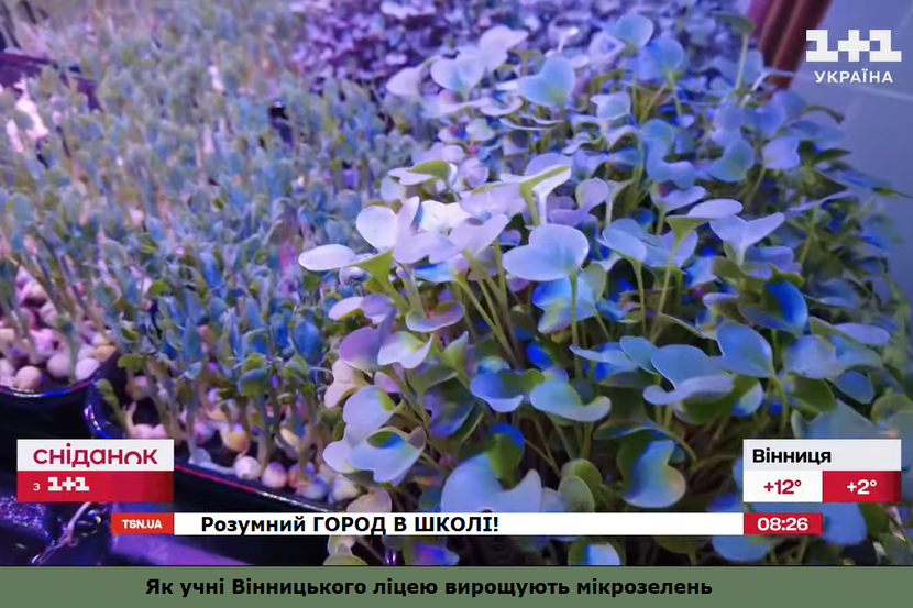 Smart Garden microgreen Vinnytsia