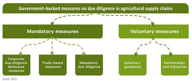 Government-backed measures on due diligence in agricultural supply chains
