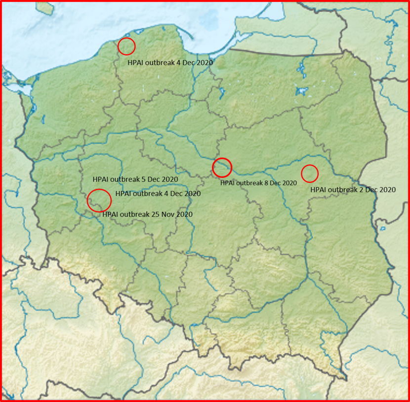 map of HPAI outbreaks in Poland