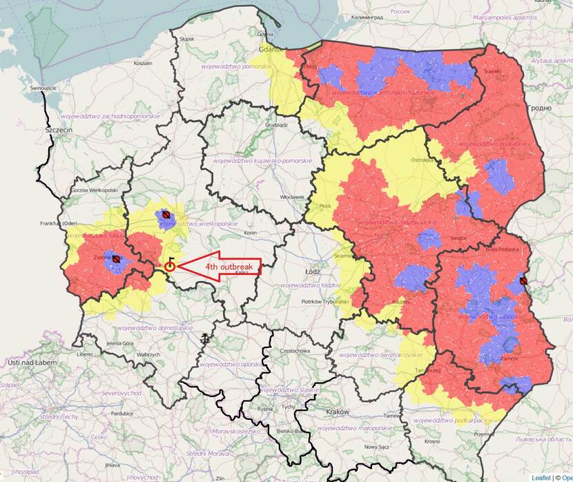 map of Poland with marked 4 ASF outbreak and blue and red zones