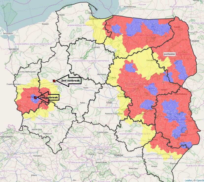Second outbreak ASF in Poland in 2020