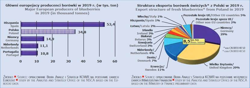 graph with biggest producers of blueberry and major export destinations of those fruits.