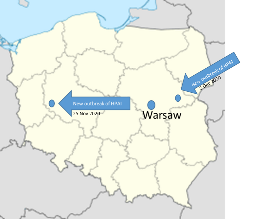 HPAI outbreak in Poland a map