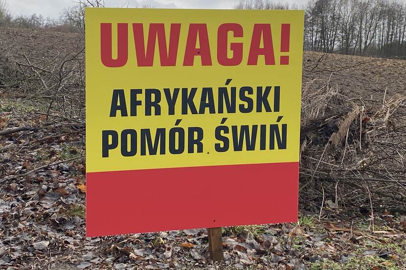 Bord with warning about ASF in Western Poland