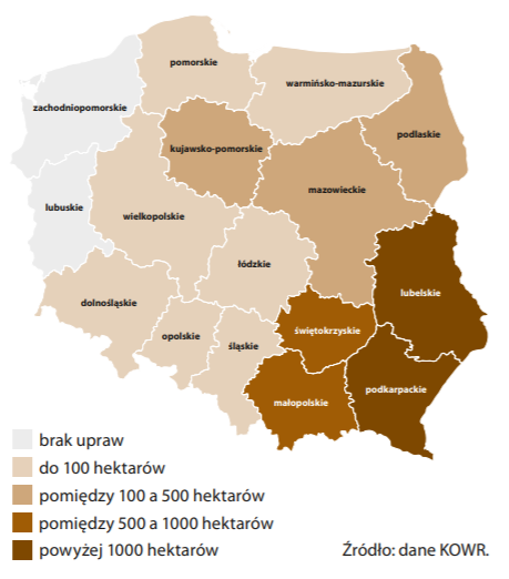 tobacco production in Poland divided into regions