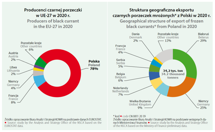 export of black currant in Poland