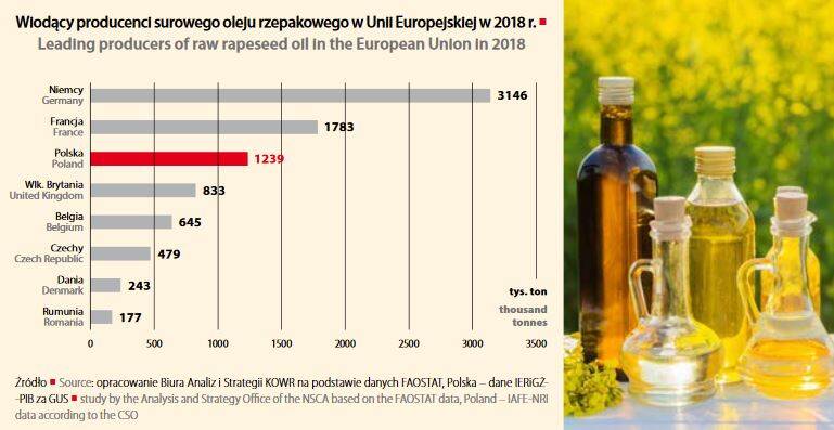 Main importers of Polish rapeseed oil