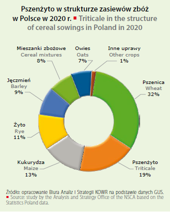 grain production in Poland