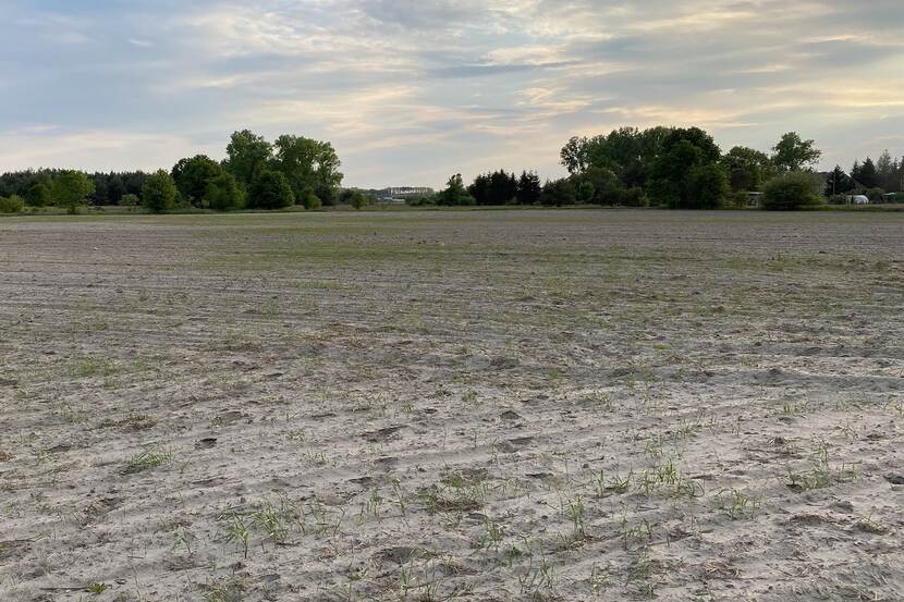 dry field with sandy soils during sunset