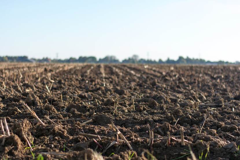 cultivated soil on a field