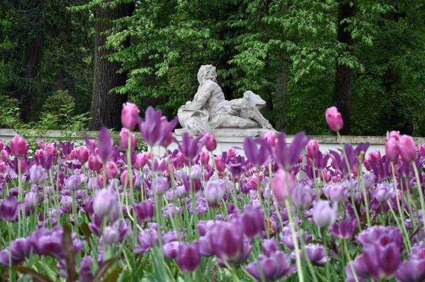 Dutch Garden in Warsaw