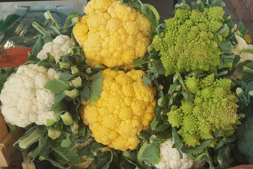 cauliflowers in diverse colors