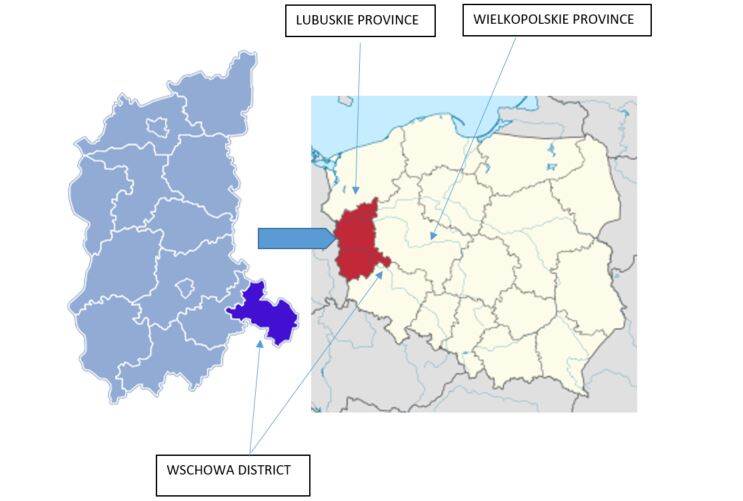 ASF outbreak in Lubuskie region in Poland
