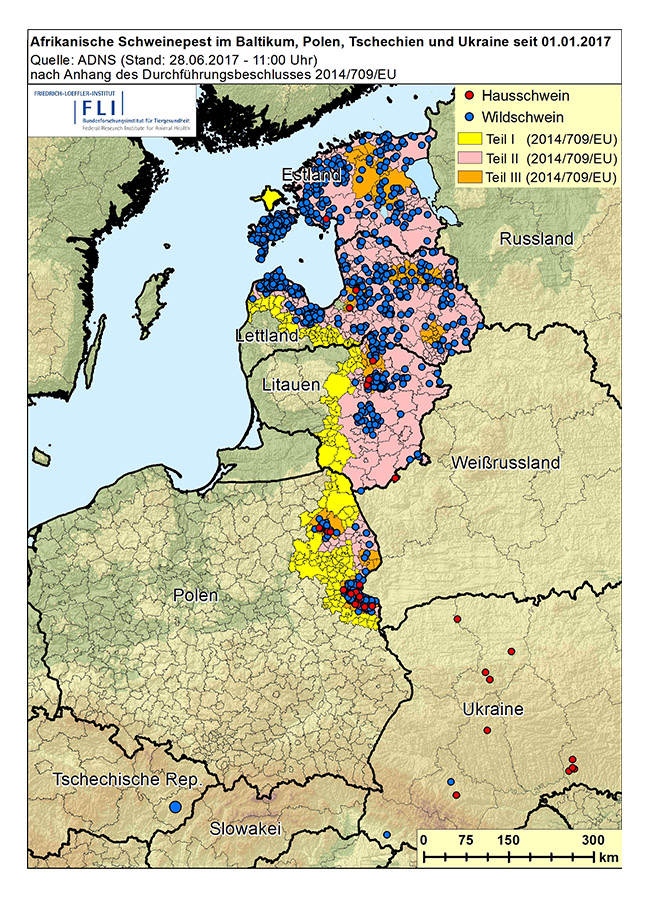 Karte: ASF in Estland, Lettland, Litauen, Polen, in der Ukraine