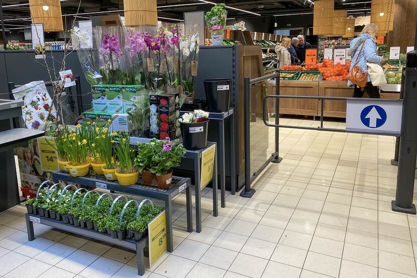 display with flowers in a retail market