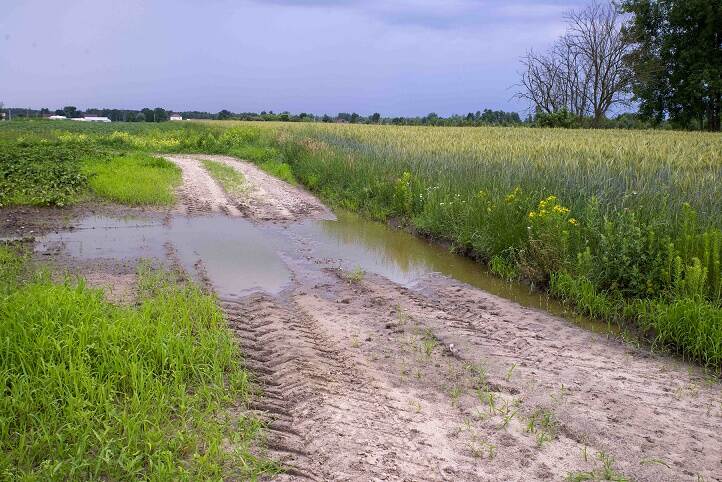 road between fields with a big pool of water
