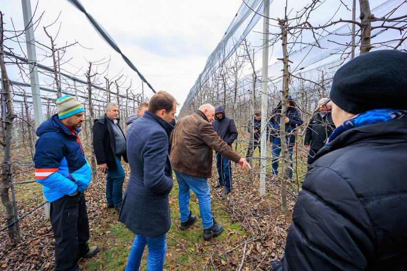pruning trees - ICDP event