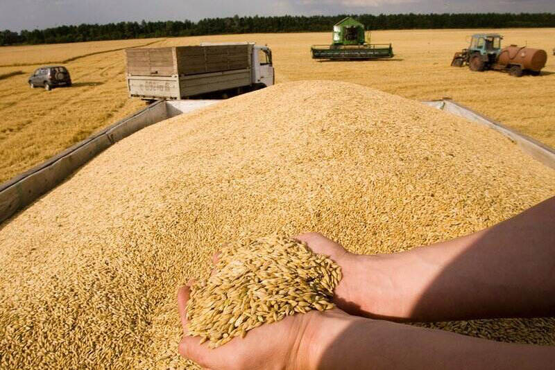 Russia grains