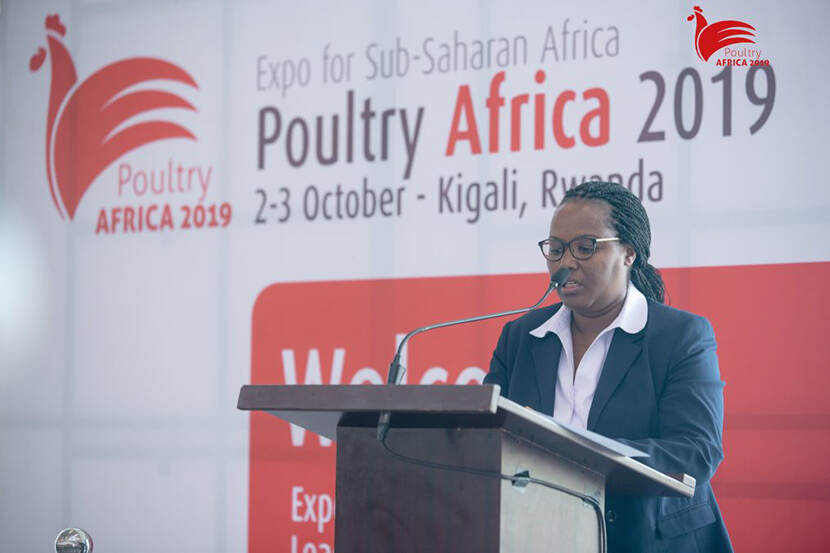 Poultry Africa