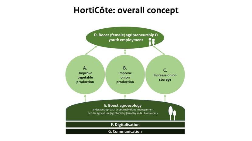HortiCote Concept