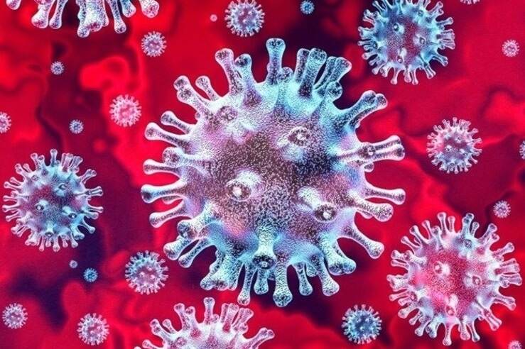 Close-up of a coronavirus.