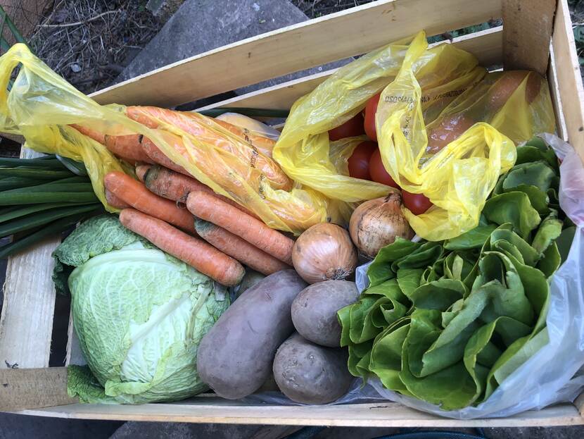 Fresh fruits and vegetables in a crate