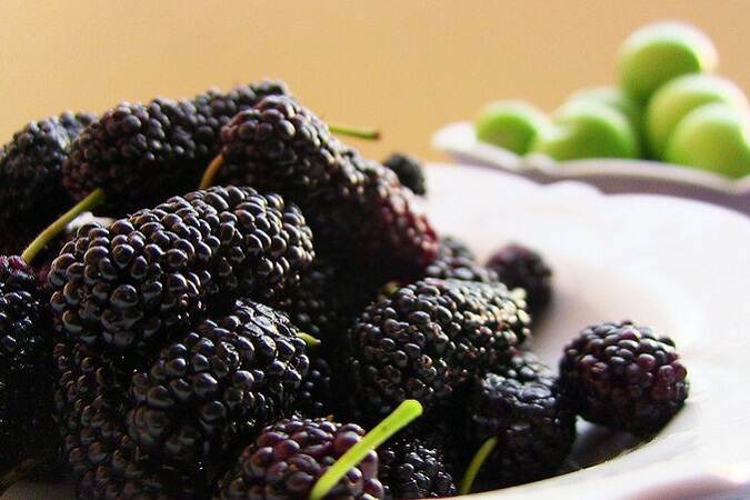 A bowl of brambles.