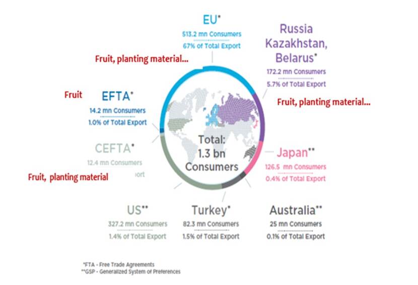 International fruit trade