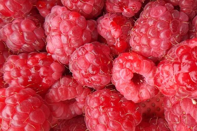 Close-up photo of ripe raspberries.