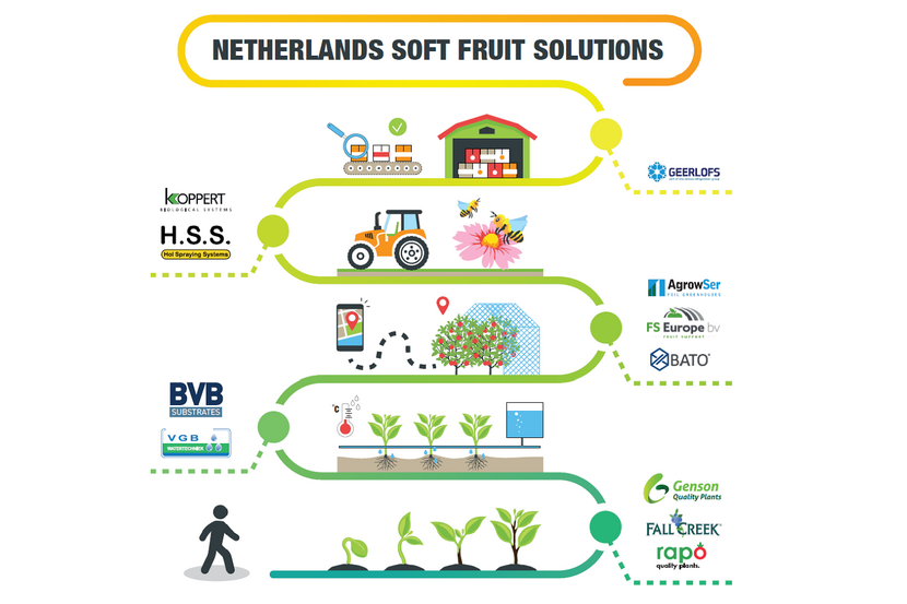 A diagram showing the soft fruit solutions model