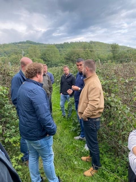 Farmers standing in the field talking about berries.