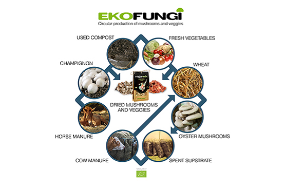 A diagram of Ekofungi's production model