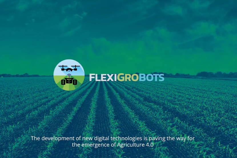 A cover picture of a green field with the title "FlexiGroBots" over it.
