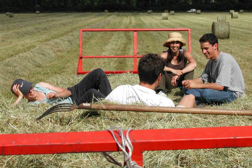 Young people laughing in the middle of a field.