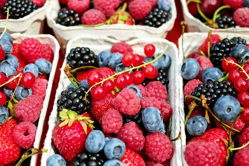 Berries in boxes