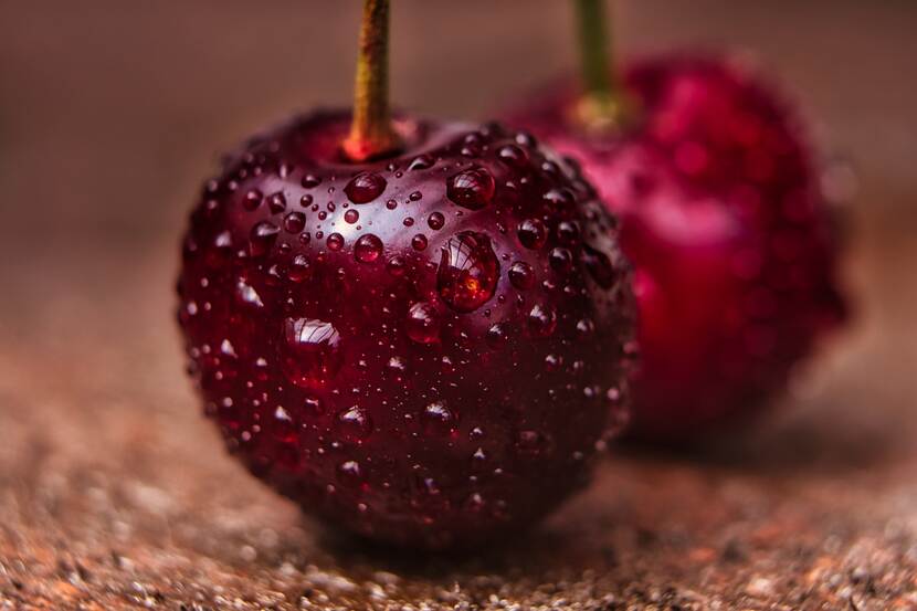 Drew-covered, ripe, crimson-red cherries