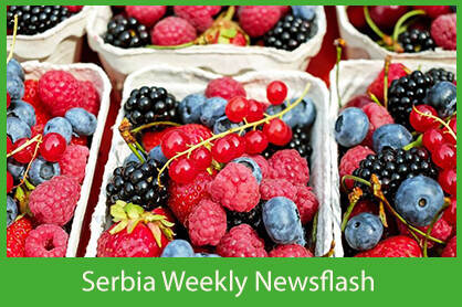 Newsflash Serbia