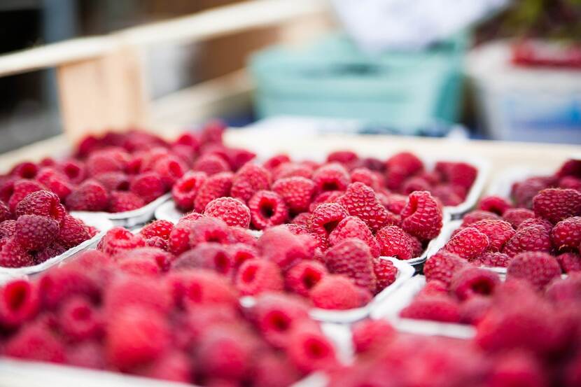 Close-up of ripe raspberries.