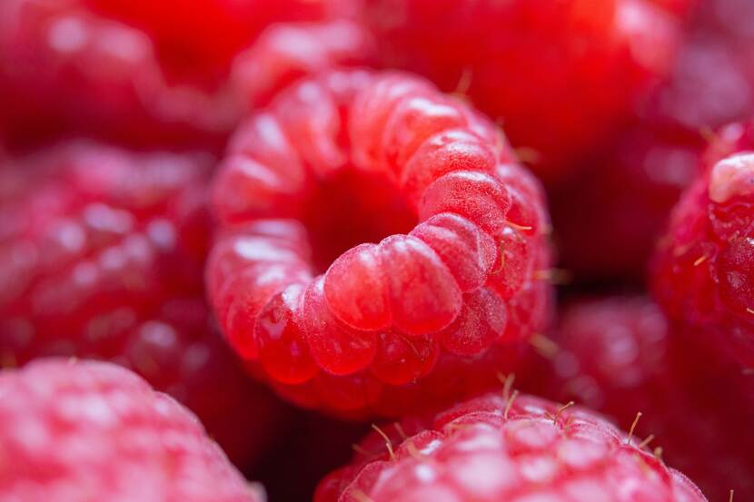Close-up of some raspberries