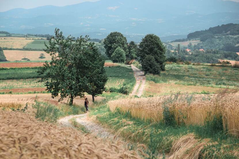 Serbian countryside