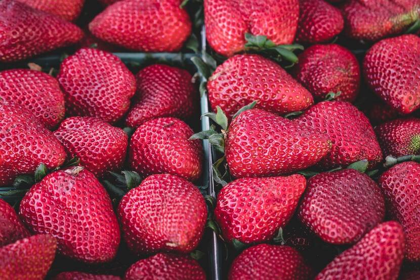 Close-up picture of fresh, ripe, red strawberries