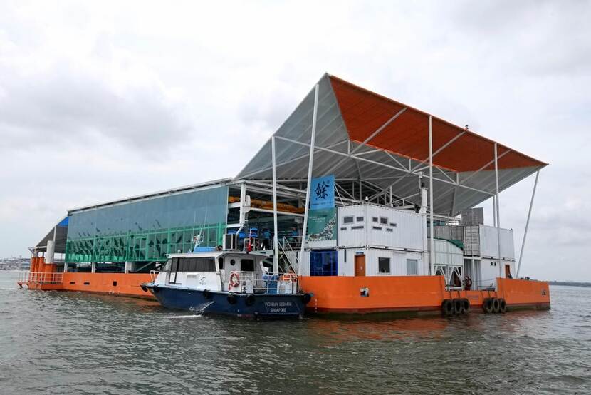 Nieuwe drijvende Eco-Ark in Singapore