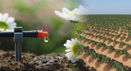 Irrigatie landbouw